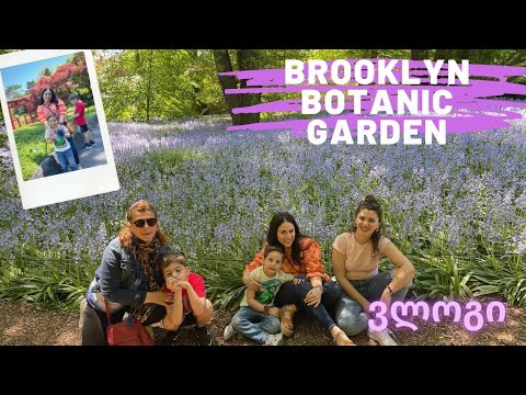 ვლოგი 5 | Brooklyn Botanic Garden მეგობრებთან ერთად
